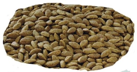 Purina Pro Plan Medium & Large 7+ Sensitive Optiderma Łosoś I Ryż 14kg Purina Pro Plan Medium & Large 7+ Sensitive Optiderma Łosoś I Ryż 14kg