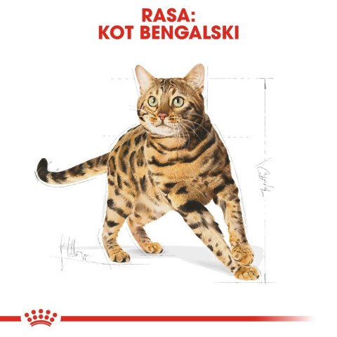ROYAL CANIN Bengal Adult 2kg ROYAL CANIN Bengal Adult 2kg