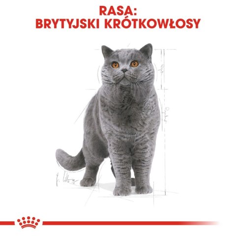 ROYAL CANIN British Shorthair Adult 400g ROYAL CANIN British Shorthair Adult 400g