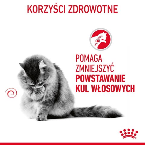ROYAL CANIN Hairball Care 400g ROYAL CANIN Hairball Care 400g