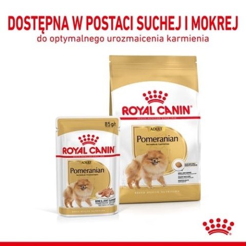ROYAL CANIN Pomeranian Adult 500g ROYAL CANIN Pomeranian Adult 500g