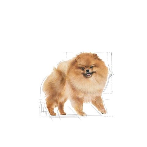 ROYAL CANIN Pomeranian Adult 500g ROYAL CANIN Pomeranian Adult 500g