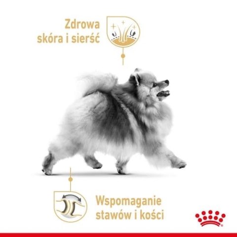 ROYAL CANIN Pomeranian Adult 500g ROYAL CANIN Pomeranian Adult 500g