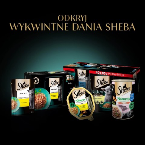 Sheba Saszetka Selection In Sauce Smaki Rybne 4x85g Sheba Saszetka Selection In Sauce Smaki Rybne 4x85g