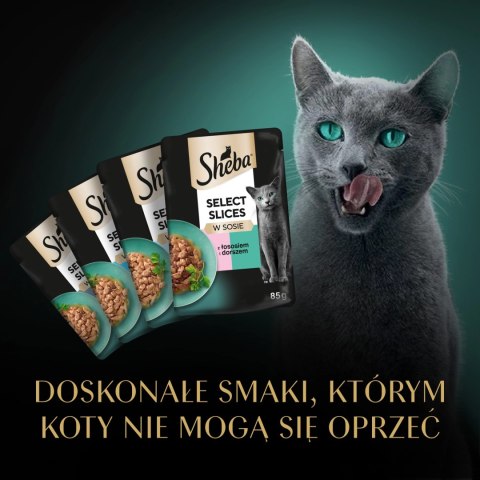 Sheba Saszetka Selection In Sauce Smaki Rybne 4x85g Sheba Saszetka Selection In Sauce Smaki Rybne 4x85g