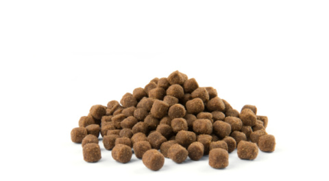Versele-Laga Opti Life Adult Mini Kurczak Z Ryżem Dla Małych Ras 7,5kg Versele-Laga Opti Life Adult Mini Kurczak Z Ryżem Dla Małych Ras 7,5kg