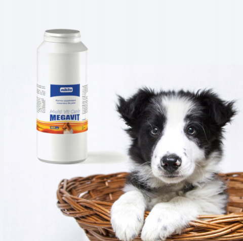 Mikita Multi Vit Canis Megavit 400 Tabletek Mikita Multi Vit Canis Megavit 400 Tabletek