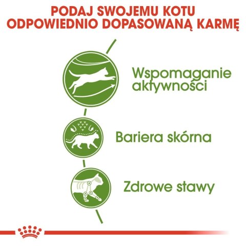 ROYAL CANIN Outdoor 2kg ROYAL CANIN Outdoor 2kg