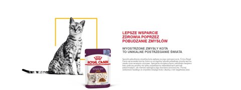 ROYAL CANIN Sensory Taste Kawałki W Sosie 12x85g ROYAL CANIN Sensory Taste Kawałki W Sosie 12x85g