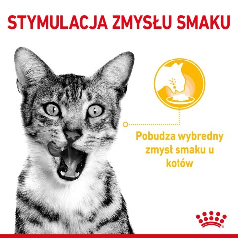 ROYAL CANIN Sensory Taste Kawałki W Sosie 12x85g ROYAL CANIN Sensory Taste Kawałki W Sosie 12x85g