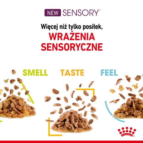 ROYAL CANIN Sensory Taste Kawałki W Sosie 12x85g ROYAL CANIN Sensory Taste Kawałki W Sosie 12x85g
