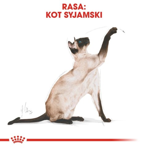 ROYAL CANIN Siamese Adult 2kg ROYAL CANIN Siamese Adult 2kg
