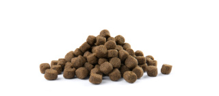 Versele-Laga Opti Life Adult Digestion Medium&Maxi Jagnięcina Z Ryżem 12,5kg