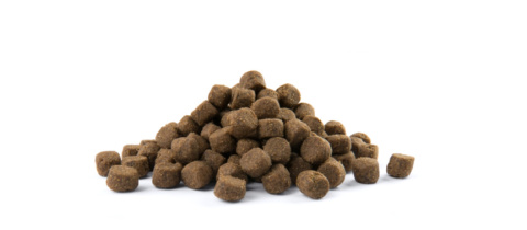 Versele-Laga Opti Life Adult Digestion Medium&Maxi Jagnięcina Z Ryżem 12,5kg