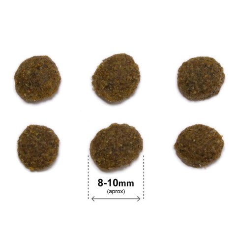 ARQUIVET CAT Original dla kotów sterylizowanych kurczak z ryżem 1,5 kg ARQUIVET CAT Original dla kotów sterylizowanych kurczak z ryżem 1,5 kg