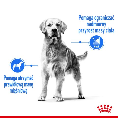 ROYAL CANIN CCN Maxi Light Weight Care 12kg ROYAL CANIN CCN Maxi Light Weight Care 12kg