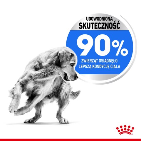 ROYAL CANIN CCN Maxi Light Weight Care 12kg ROYAL CANIN CCN Maxi Light Weight Care 12kg