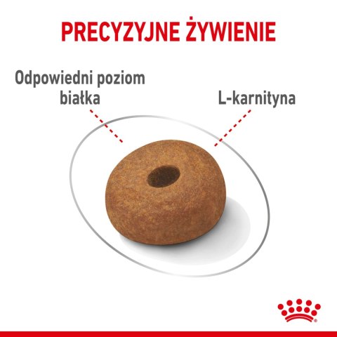 ROYAL CANIN CCN Maxi Light Weight Care 12kg ROYAL CANIN CCN Maxi Light Weight Care 12kg