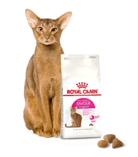 ROYAL CANIN Savour Exigent 4kg ROYAL CANIN Savour Exigent 4kg