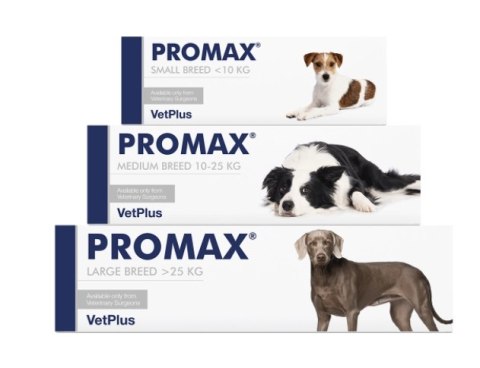 VETPLUS LIMITED Promax Probiotyk Dla Psów Średnich Ras 18ml VETPLUS LIMITED Promax Probiotyk Dla Psów Średnich Ras 18ml