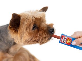 Kabanos jagnięcy display box 25x12g