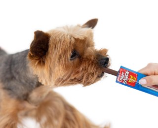 Kabanos wołowy display box 25x12g