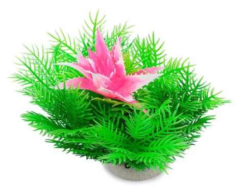 Roślina folia 10cm 1f12 Happet Roślina folia 10cm 1f12 Happet