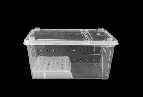 Pojemnik hodowlany BREEDING BOX z platformą 19 cm Pojemnik hodowlany BREEDING BOX z platformą 19 cm
