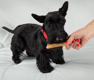 Jeleń skóra 100% naturalna gryzak, 150g