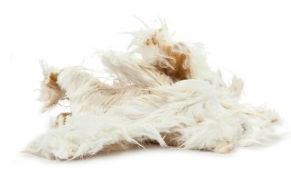 Królik skóra z futrem, 90g