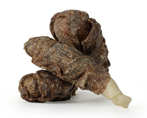 GP92 Udko wołowe z kaczką 1szt.