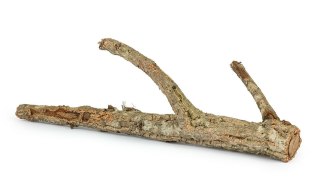 KOREK GAŁĄŹ 100cm