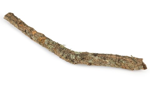 Korek gałąź 30cm Korek gałąź 30cm