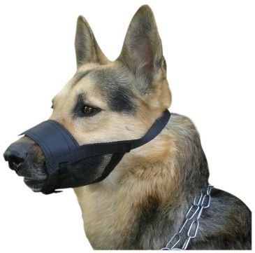 Dingo Kaganiec Weterynaryjny Nylonowy Dla Psa Rozmiar 5 23-28cm
