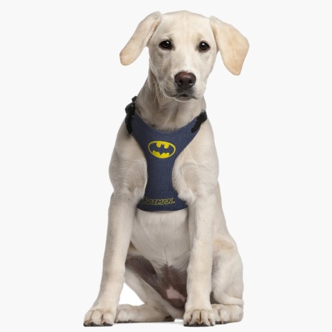 Szelki Soft Batman