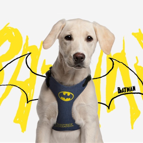 Szelki Soft Batman