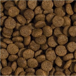 Tropidog Super Premium Adult Medium & Large Breed Kurczak I Łosoś 15kg