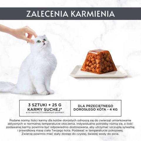 GOURMET Revelations Delikatne Kawałki w Galaretce z Łososiem 2x57g