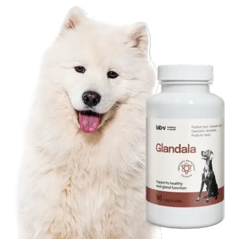 Lab-v Glandala Wsparcie Gruczołów Okołoodbytowych i Przewodu Pokarmowego 90 Kapsułek