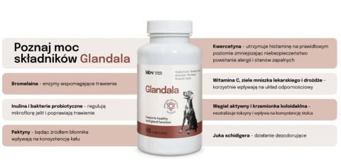 Lab-v Glandala Wsparcie Gruczołów Okołoodbytowych i Przewodu Pokarmowego 90 Kapsułek
