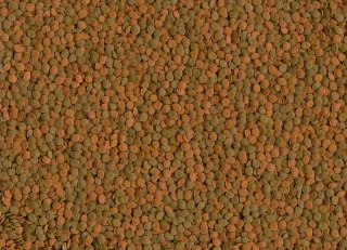 Tetra Wafer Mini Mix 100ml