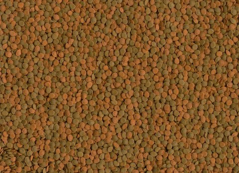 Tetra Wafer Mini Mix 100ml