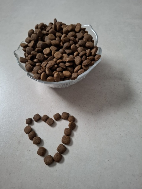 Tropidog Premium Junior Small And Medium Breeds Łosoś Z Ryżem 8kg