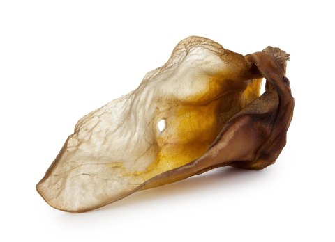 Wołowe ucho naturalne 100% 1szt