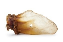 Wołowe ucho naturalne 100% 5szt.