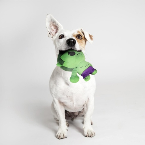 Zabawka Avengers Hulk