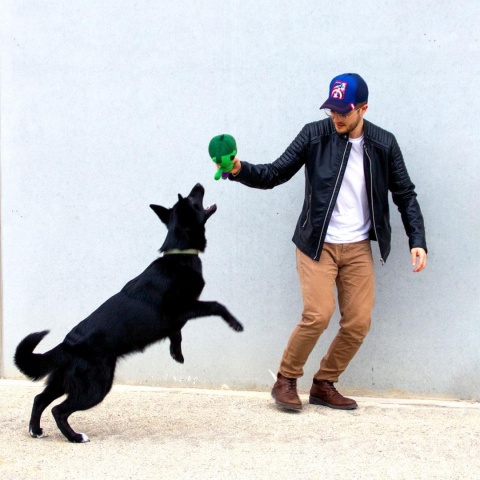 Zabawka Avengers Hulk