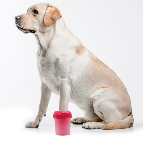 Czyścik do łap S/M różowy