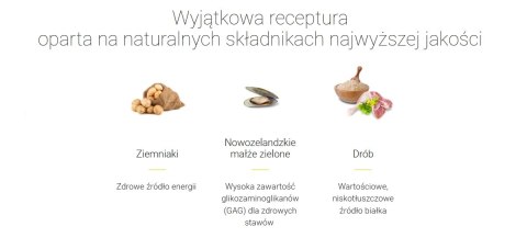 JOSERA YoungStar - Grain Free 12,5kg