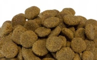 ARQUIVET Original cielęcina z ryżem 12 kg